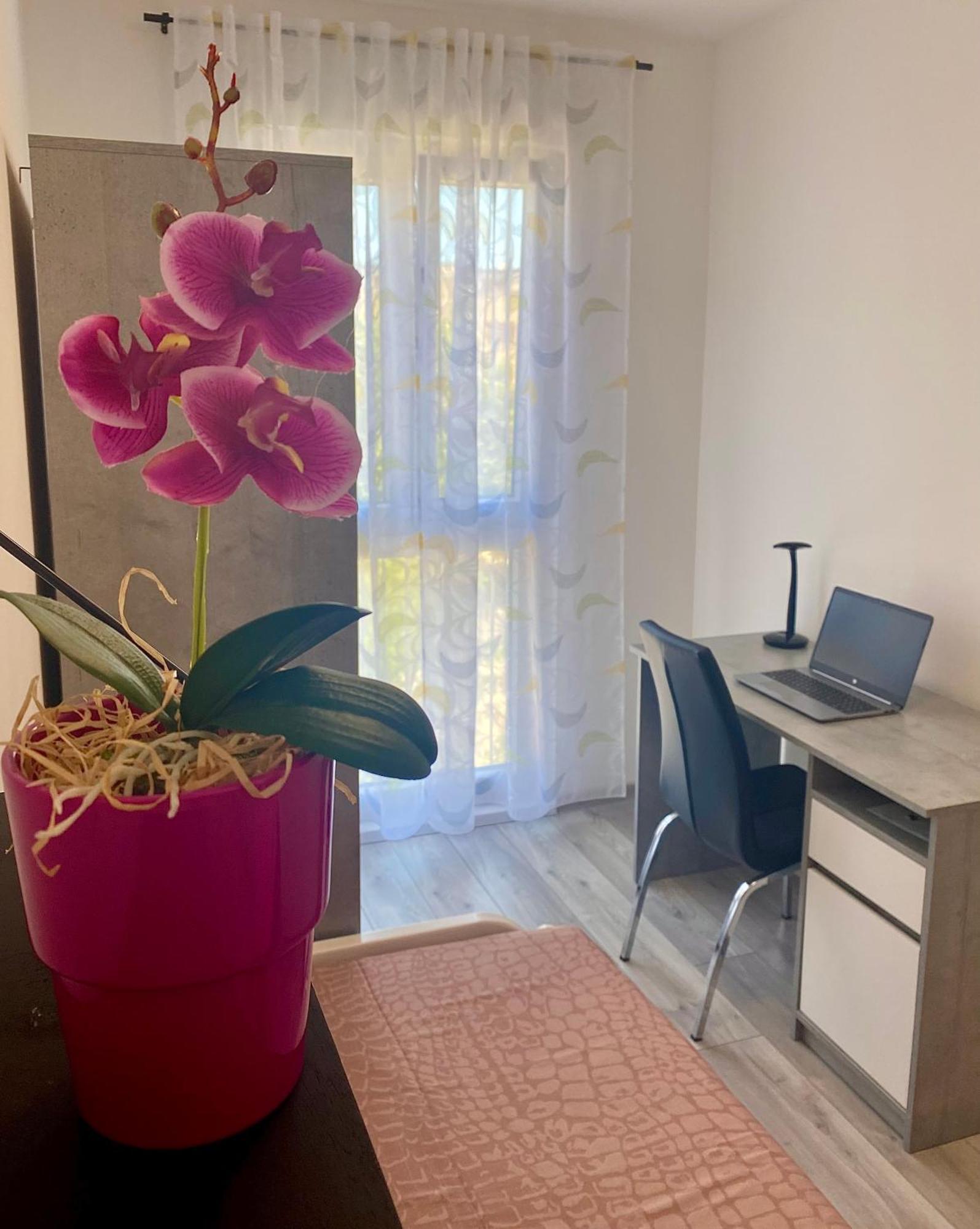 Ema Apartment Póla Kültér fotó